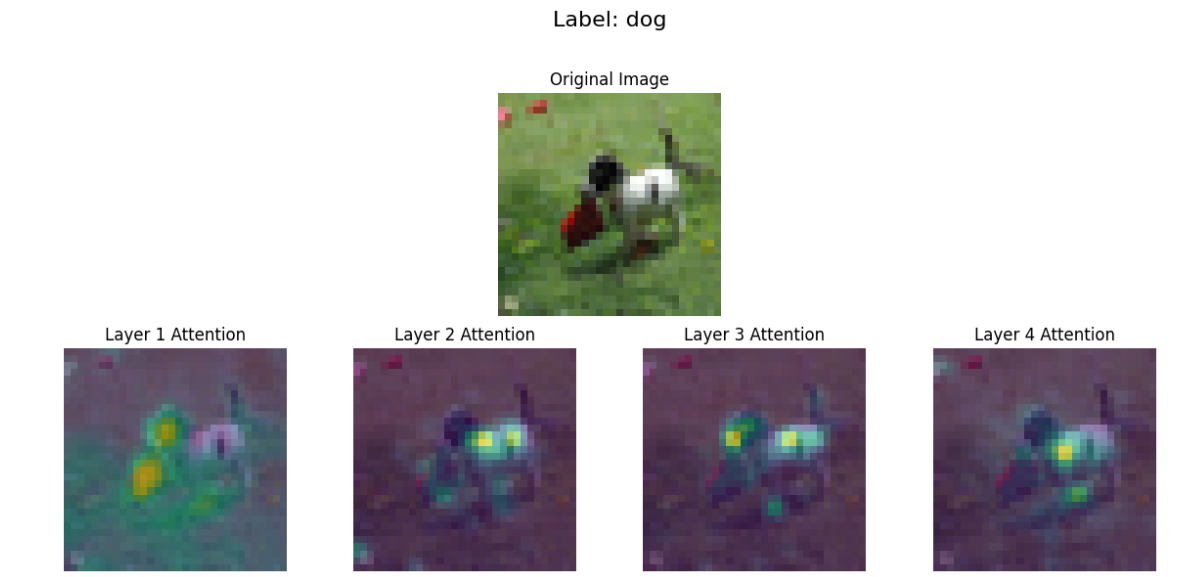 ViT_visualization